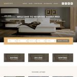 Winning Agent Pro 2 Theme